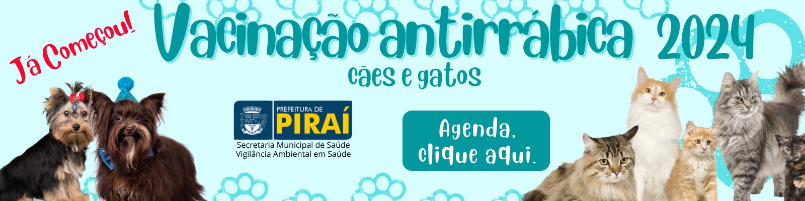 Vacinação Antirrábica